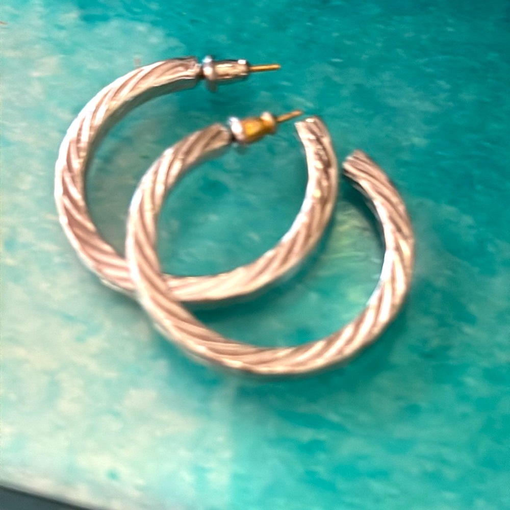 Hoop pierced earrings